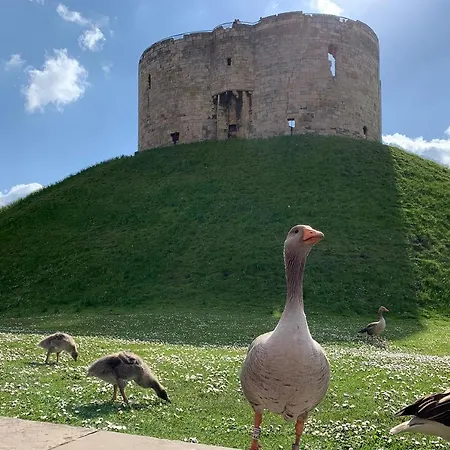 Hunter House - アパート ヨーク